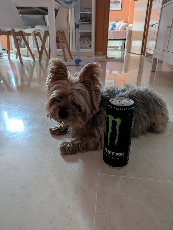 SoyKhaler tweet media