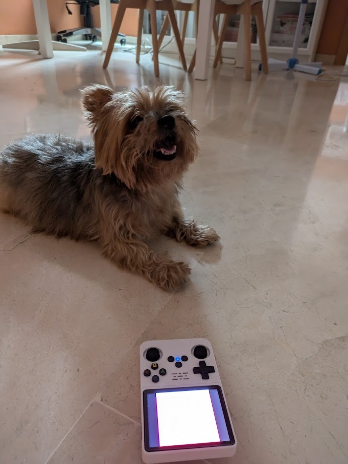 SoyKhaler tweet media