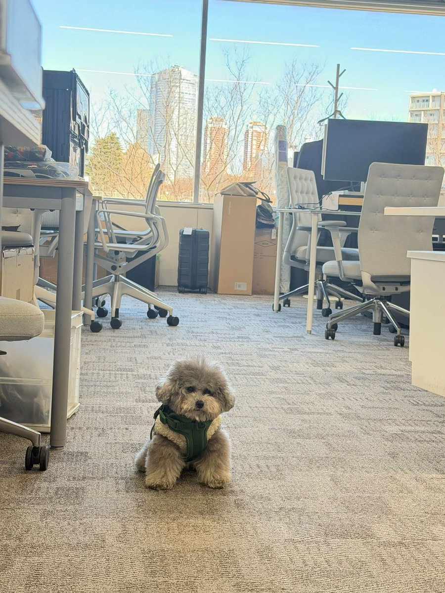 表情七変化犬 (今日は笑ってて一安心の同僚)