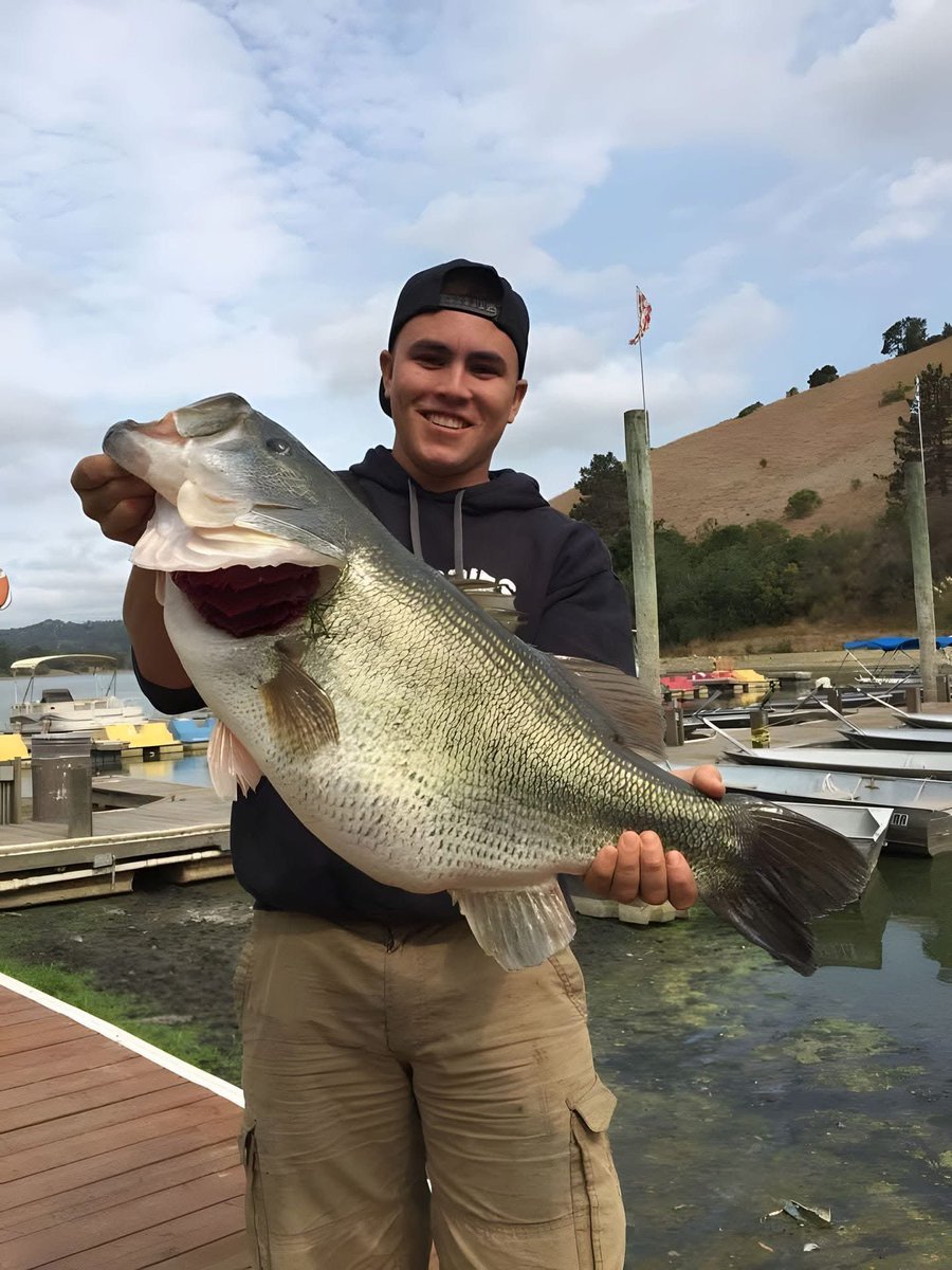 Bass Manager 🎣 tweet media