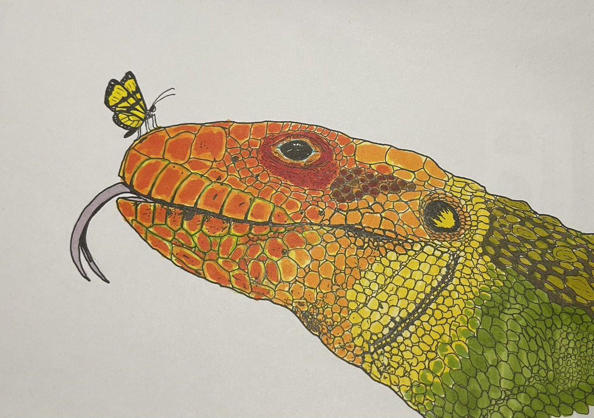 GrapeTalks tweet media