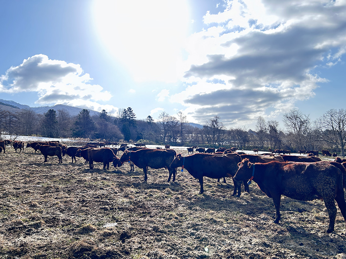 株式会社牧家 tweet media