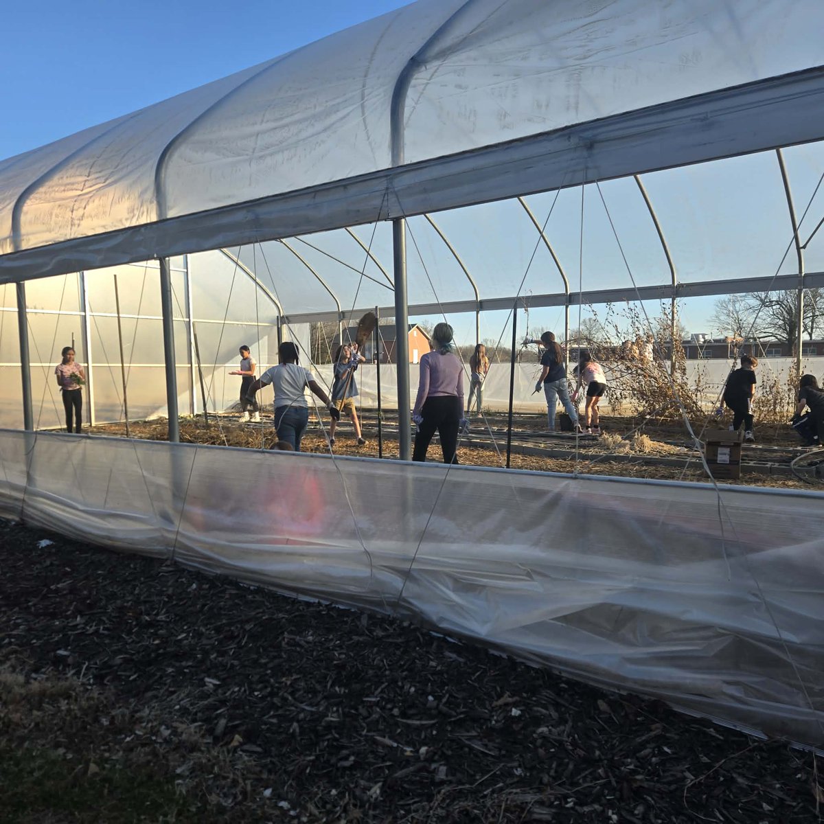 Pleasant View School tweet media