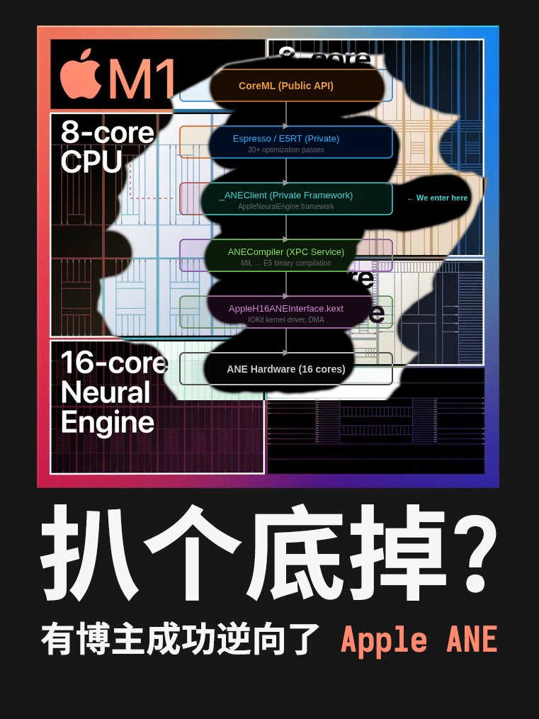 karminski-牙医 tweet media