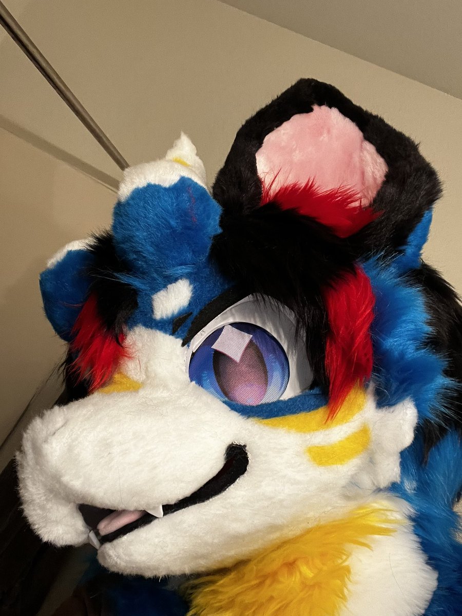 m0ondawg's tweet photo. New dragon in town #azfurs https://t.co/MExCVAHPQm