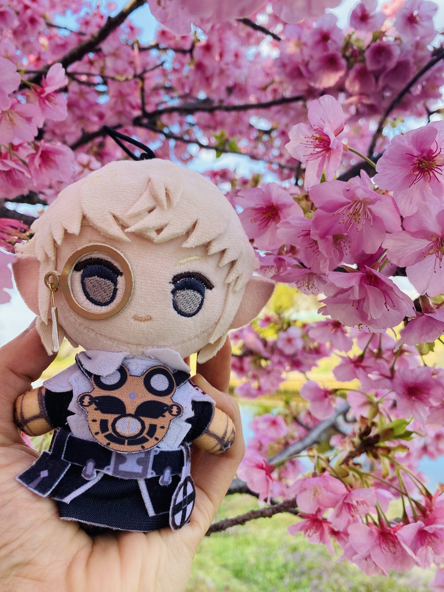 Chibi Dachi tweet media