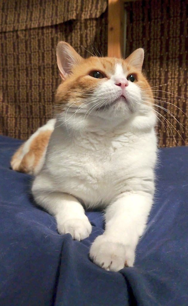 おちゃまる (@ochamarusan0126) / Posts / X