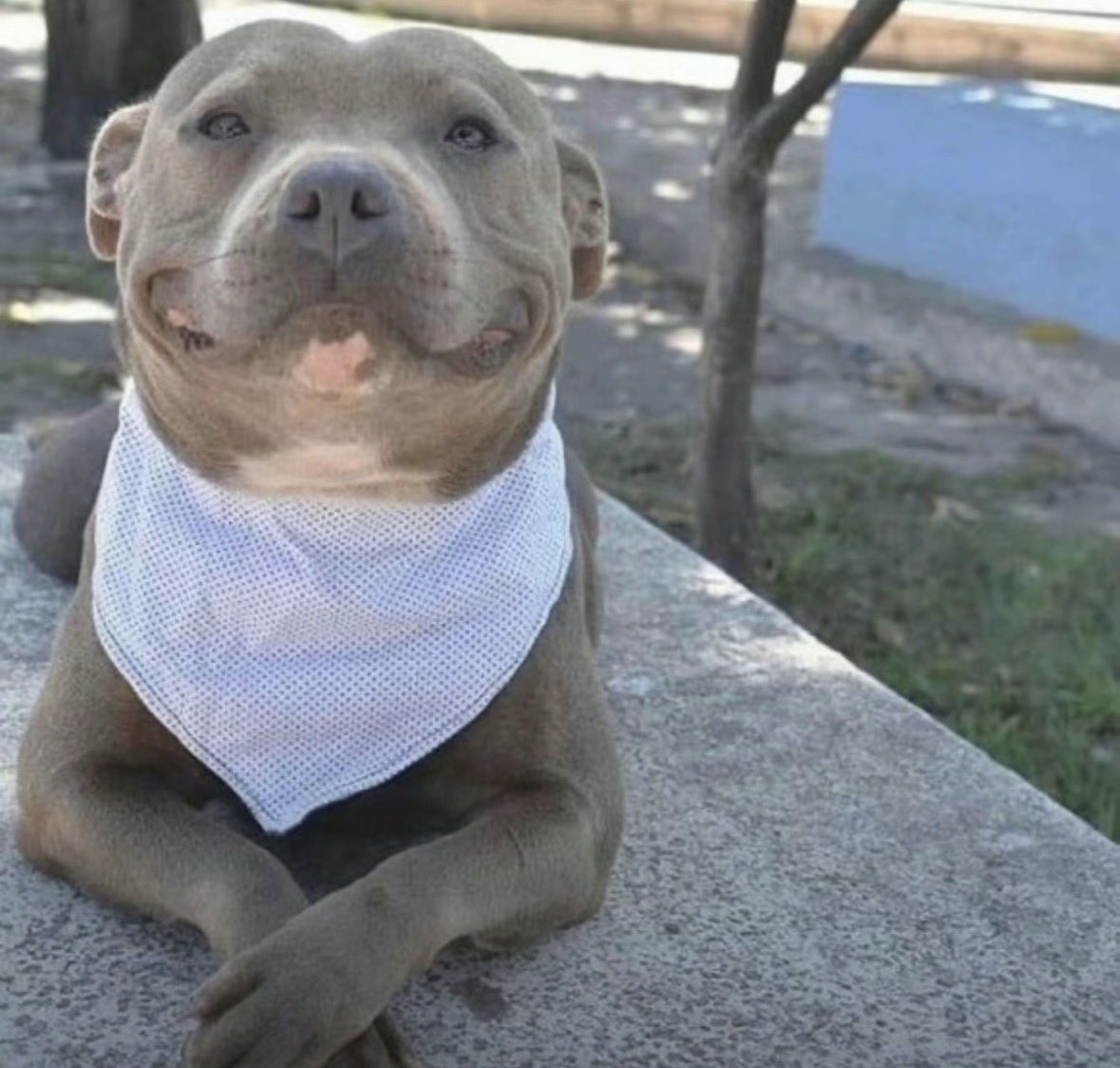 just need nfinity to win and im satisfied with nca once again