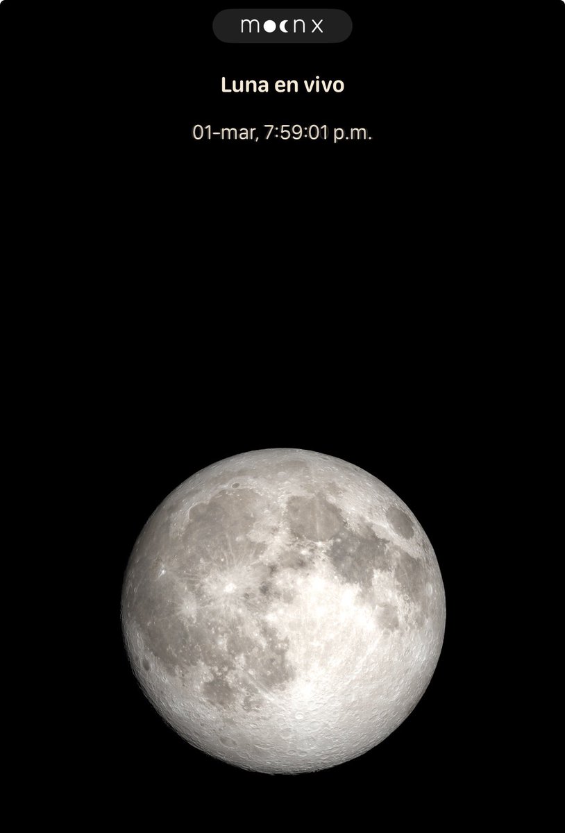 𝔸𝕝𝕖 𝕃𝕖ó𝕟  🪶 tweet media