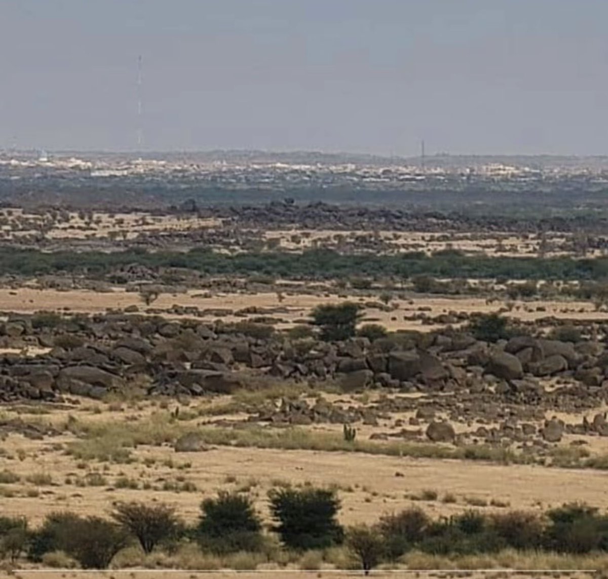 Free Azawad tweet media