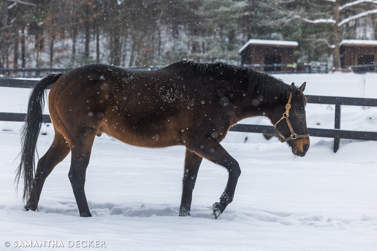 Samantha Decker (she/her) 📷 tweet media