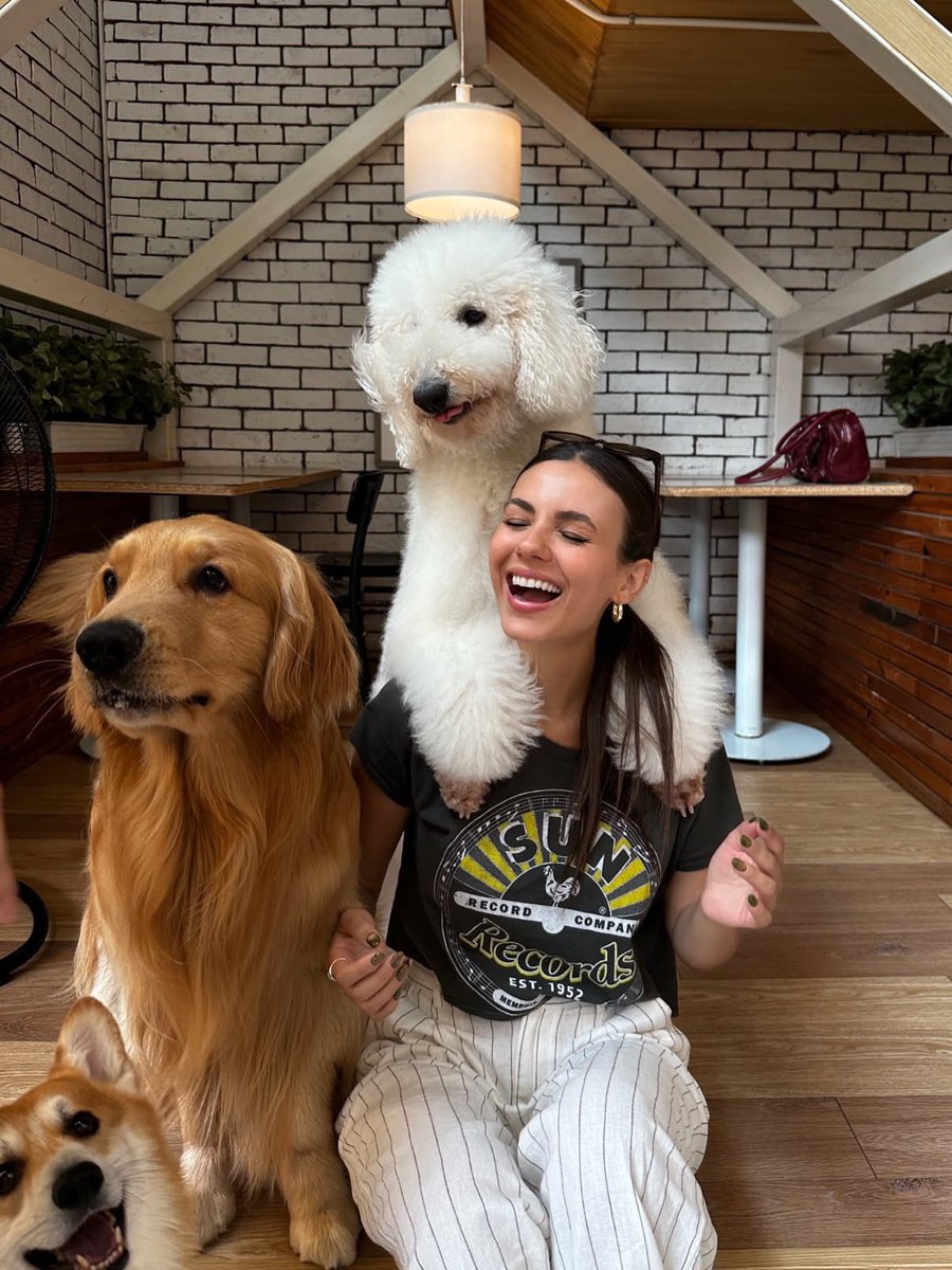 Victoria Justice tweet media