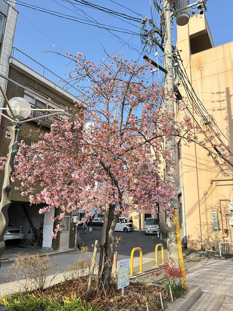 林理恵子 きそ毛糸店純毛専門店ＳＮＳ担当 tweet media
