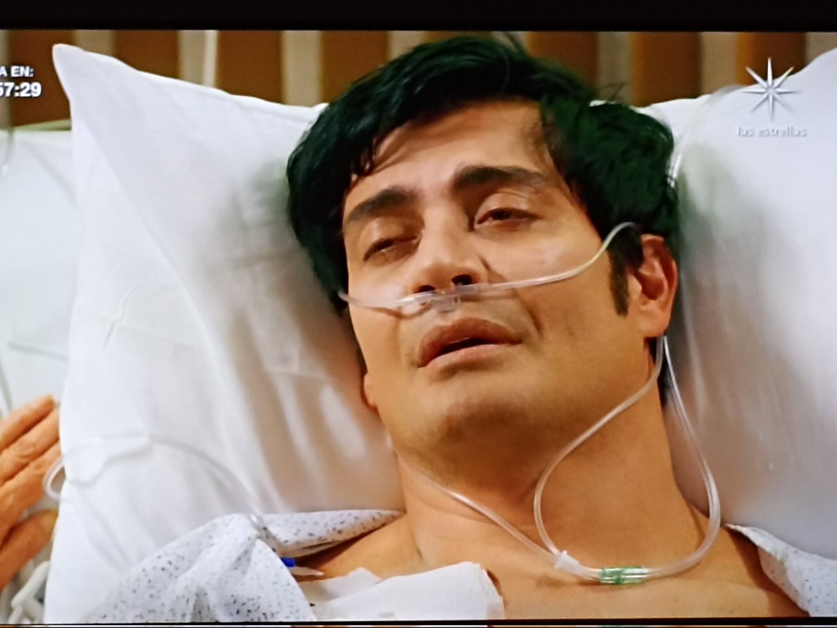 fansandrespalacios tweet media