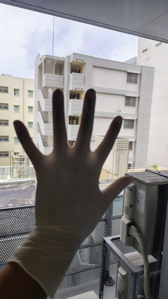 Lin98320704's tweet photo. A beautiful morning in Japan... https://t.co/a0Q8OnYbbB