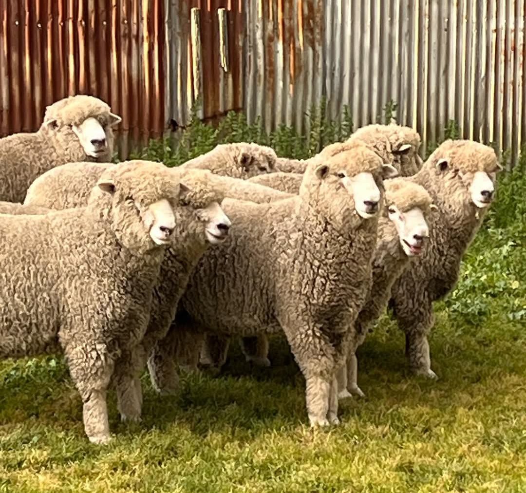 Ed Bourgeois tweet media