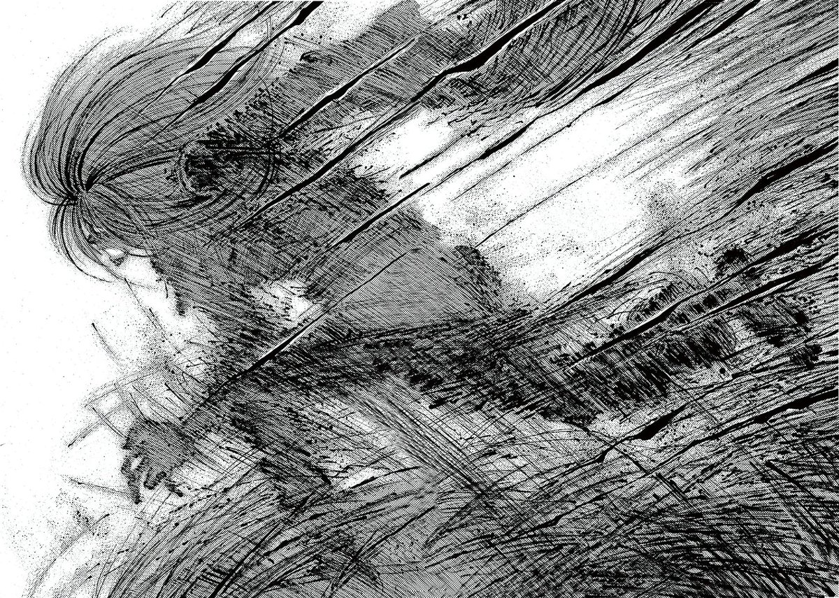 Nold きび 🌻 tweet media