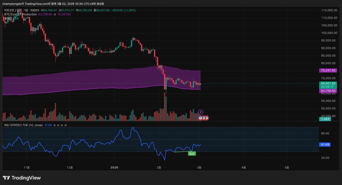 2BTC100TSLA tweet media