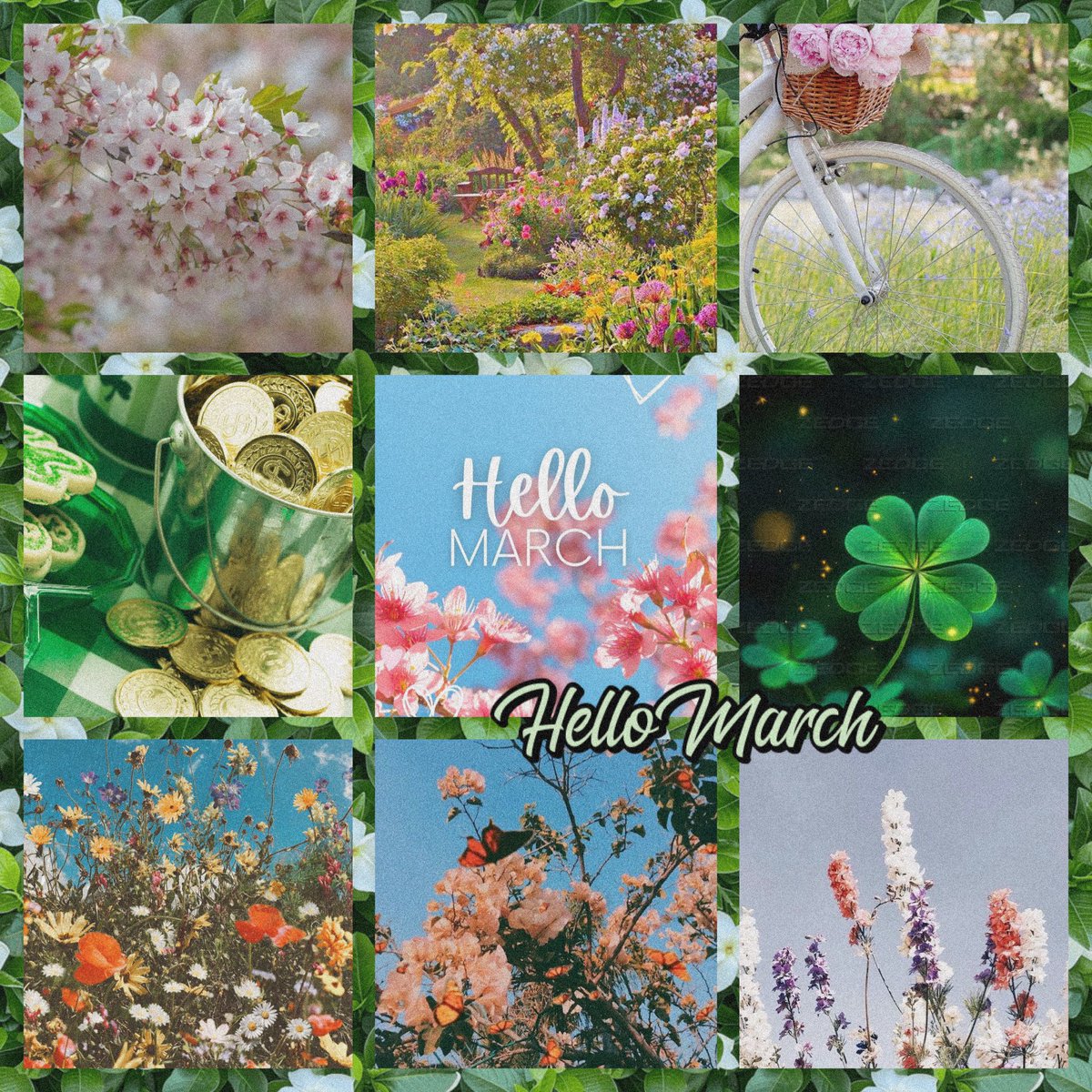 Floridabab95's tweet photo. Happy March 1st may this month bring you joy and happiness chapter 3 of 12 letโs make this month great. ๐๐ป๐ธโ๏ธ #march1st #march #hellomarch https://t.co/cvkncLagO3