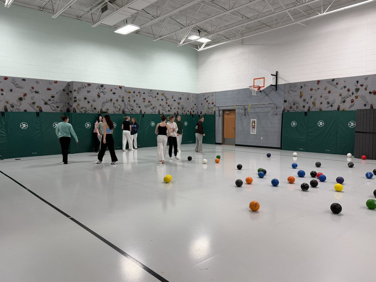 Geneseo Lady Leaf Softball tweet media