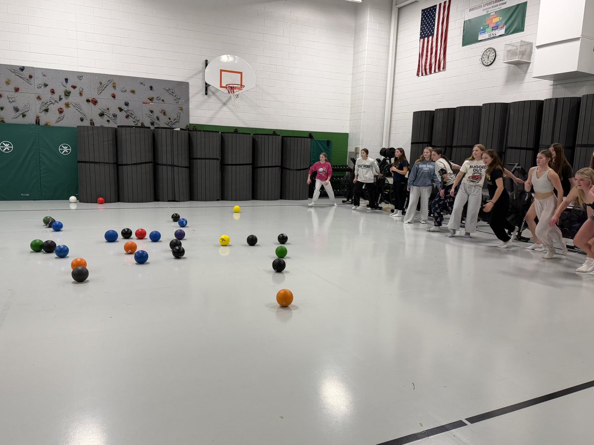 Geneseo Lady Leaf Softball tweet media