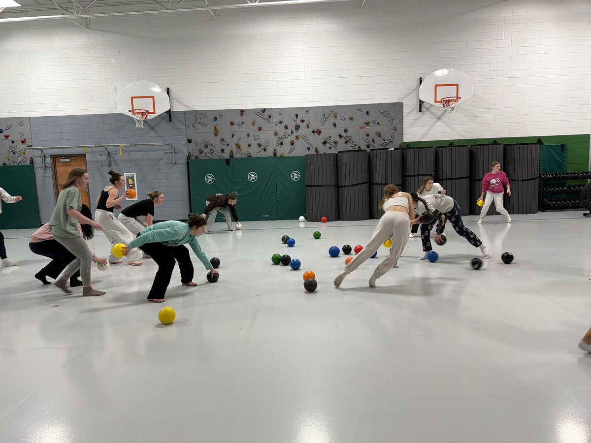 Geneseo Lady Leaf Softball tweet media