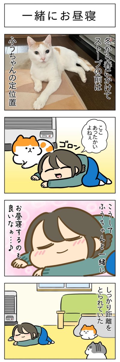 「一緒にお昼寝」(はる蔵さんの「ふうらい日和」第233回)
2本目「ストーブ争奪戦」はこちら⇒https://t.co/jWblaYgEQt 