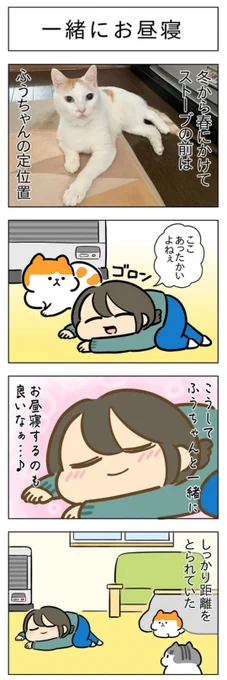 「一緒にお昼寝」(はる蔵さんの「ふうらい日和」第233回)
2本目「ストーブ争奪戦」はこちら⇒https://t.co/jWblaYgEQt 