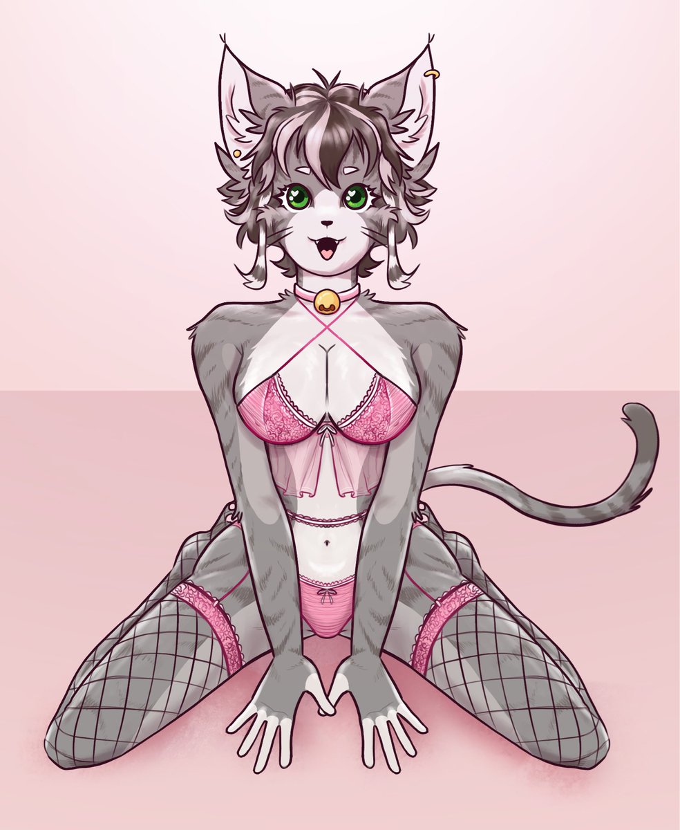 appendixowl's tweet photo. Awesome cat girl 
#cargirl #furryart #nsfw #furrynsfw https://t.co/63OSza0F7y