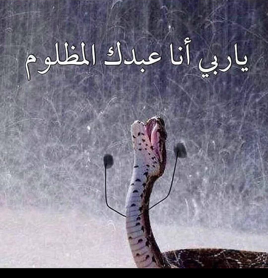 _CAN_7's tweet photo. @insomthng https://t.co/amq4ANjjQO