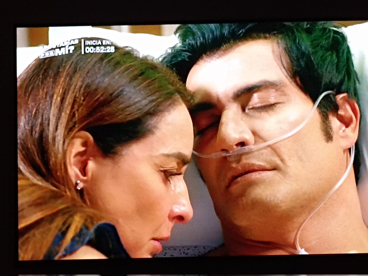 fansandrespalacios tweet media