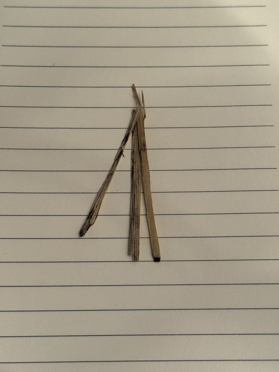 You’ve met <a href="/ReedTimmerUSA/">Reed Timmer, PhD</a> sure. But do you have a piece of straw that was embedded in the Dominator the night of the Spiritwood and Enderlin EF-5 tornado? 

Never. Stop. Chasing!!!!!!