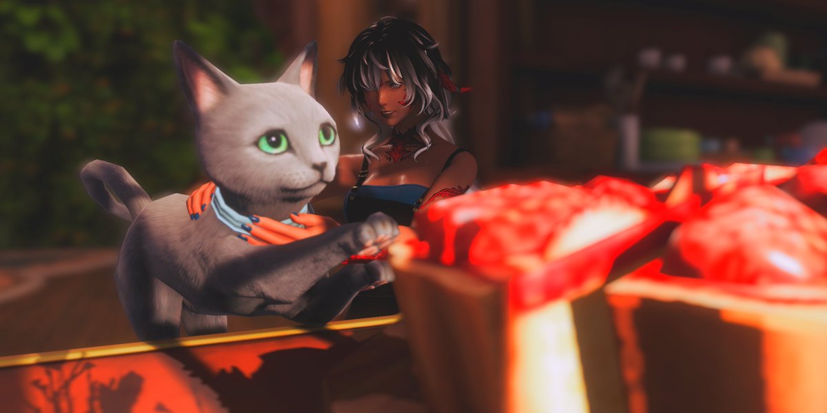 No kitty! Thats my pie! #aura #gpose