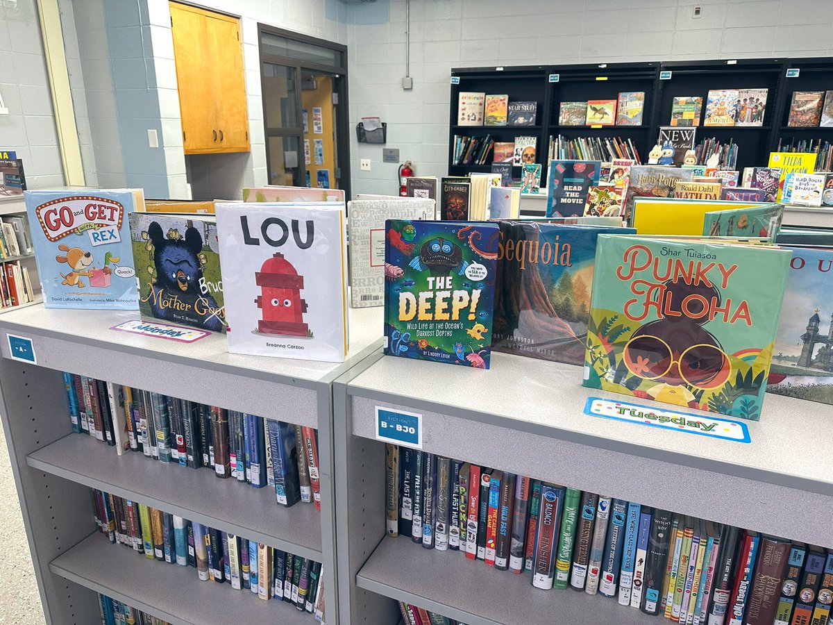 Ashley Honn tweet media