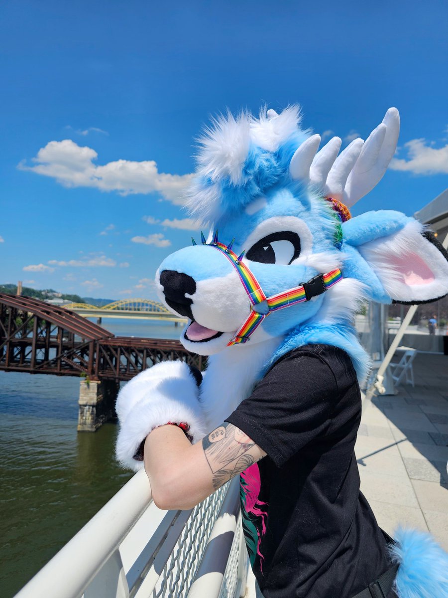 ☆ kiral☆ ➡️ zenkaikon tweet media