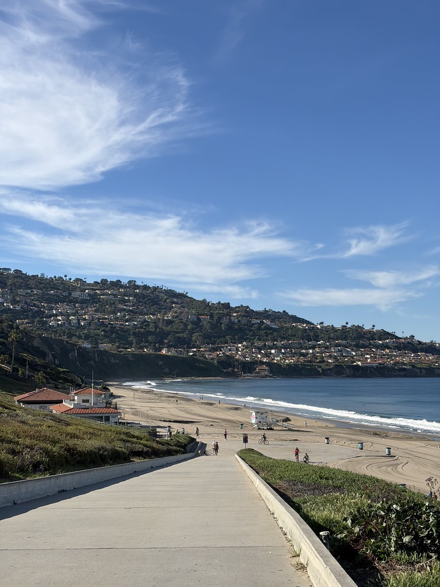 Pieter Korevaar tweet media