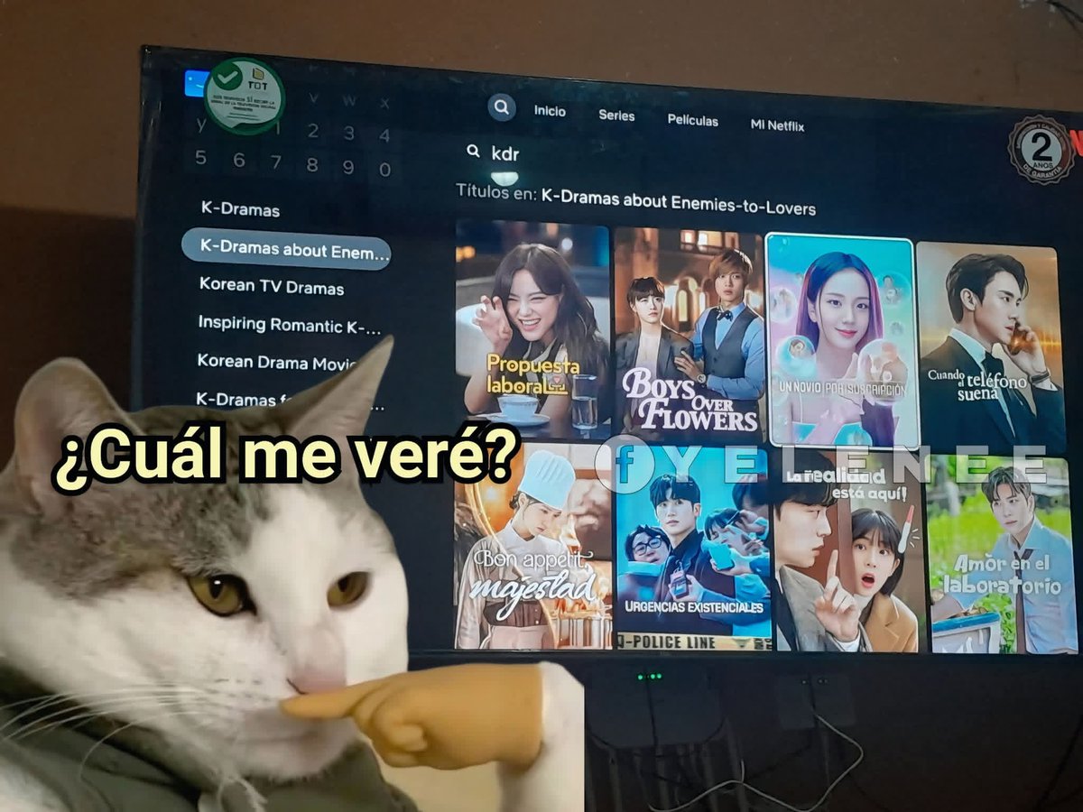 x: ¿Por qué andas tan desaparecida, estás bien?
Yo: