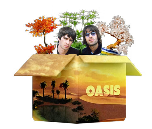 HypeDrop tweet media