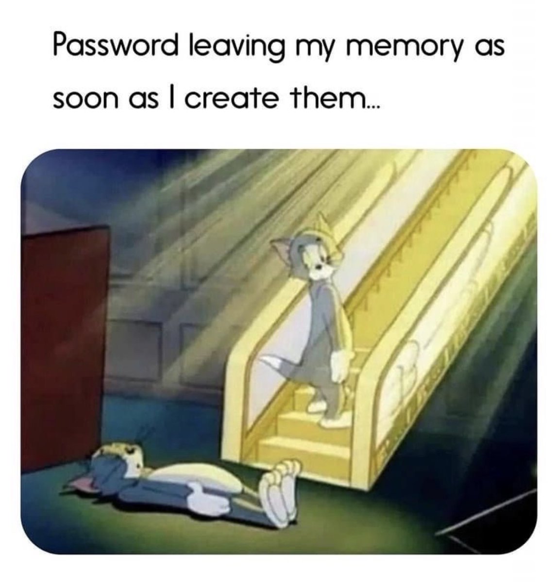 Respectful Memes (@respectfulmemes) on Twitter photo 