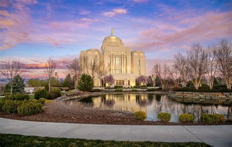 Clarissa Weideman tweet media