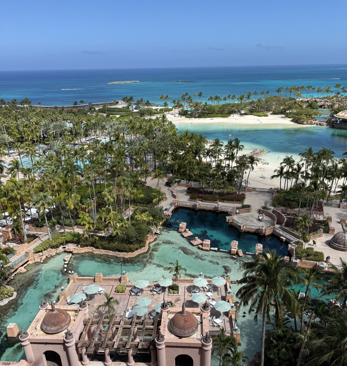 KingofJUCO tweet media