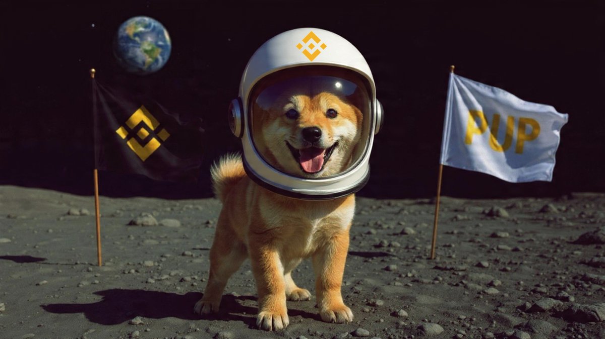 That's our mission 🐶 #pup #memecoin #Binance