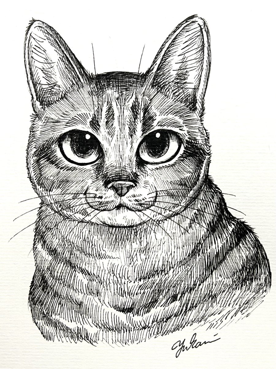 猫のペン画