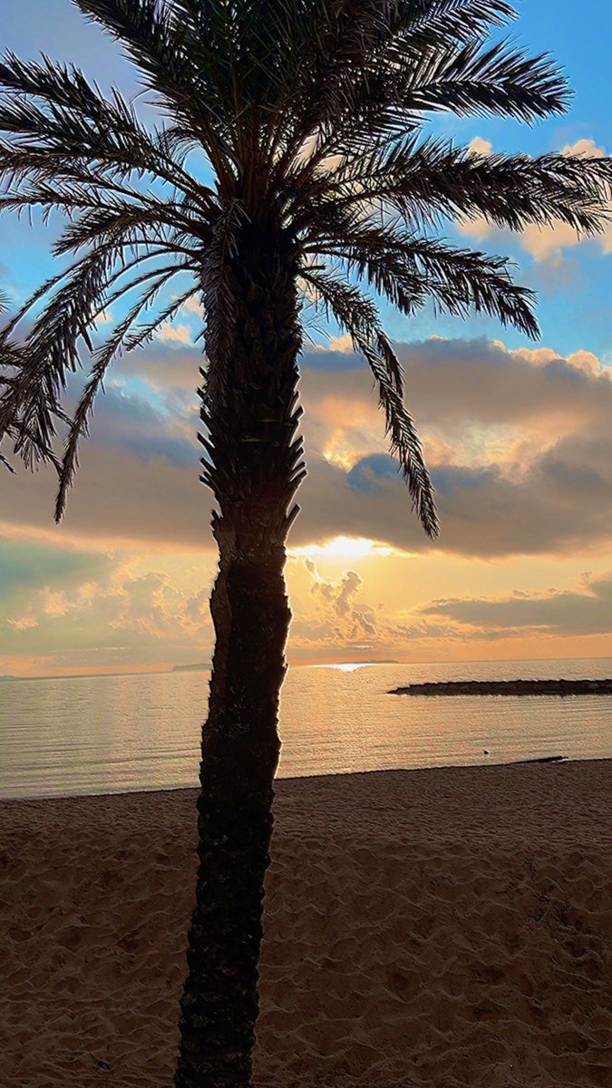 ClemCaro06's tweet image. Chaque averse prépare un lever de soleil plus beau 🌅 @MandelieuVille @MandelieuOTC #MorningLights #MondayMotivaton