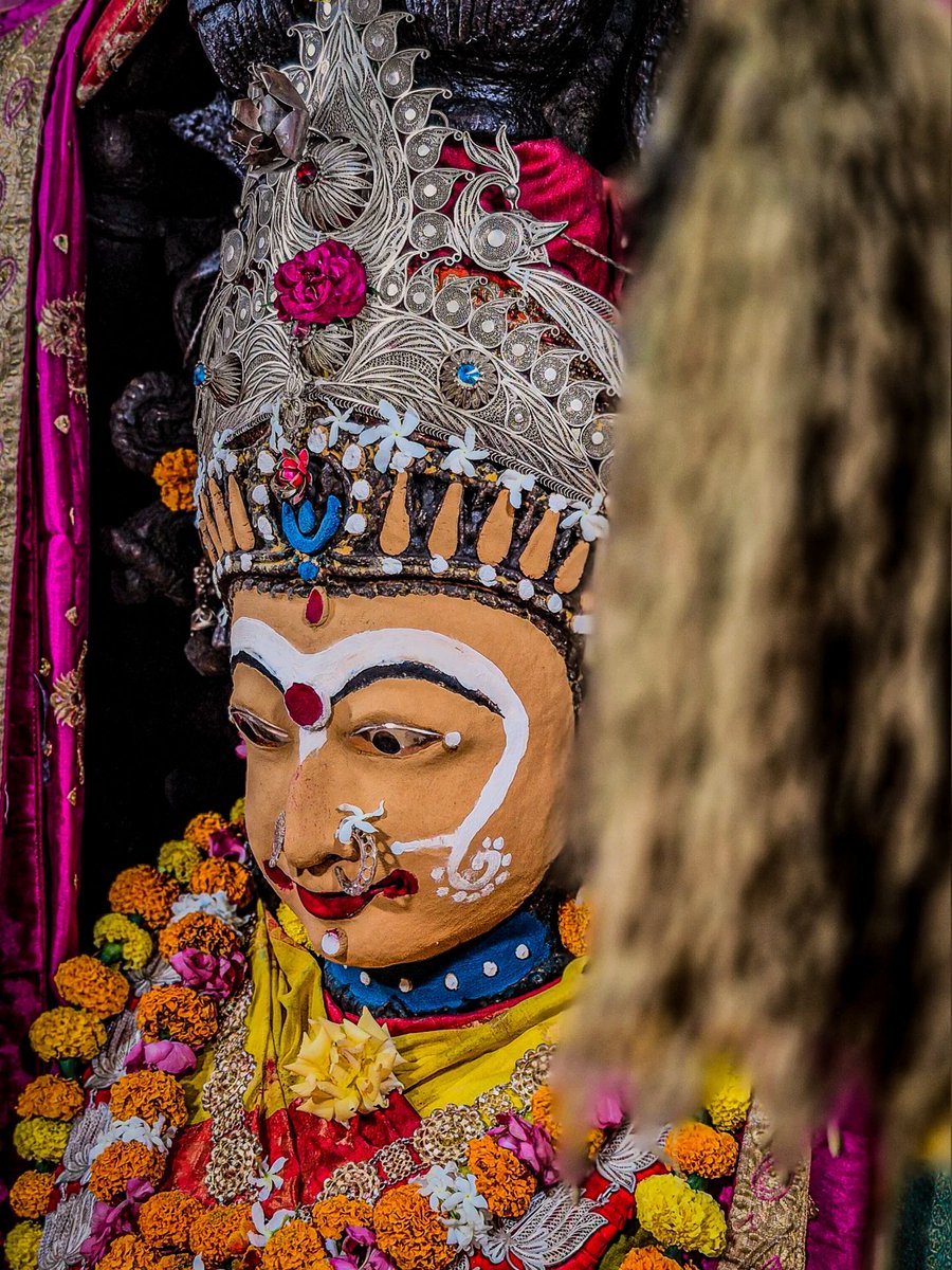 Temple Connect Official tweet media