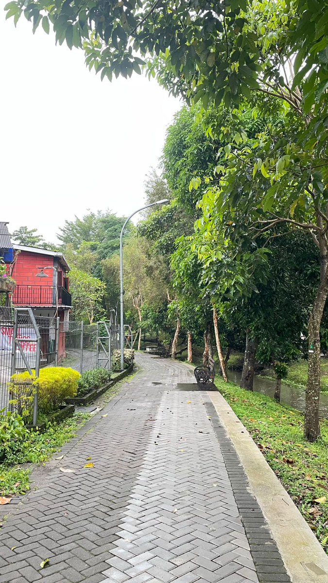 dino 🦖 tweet media