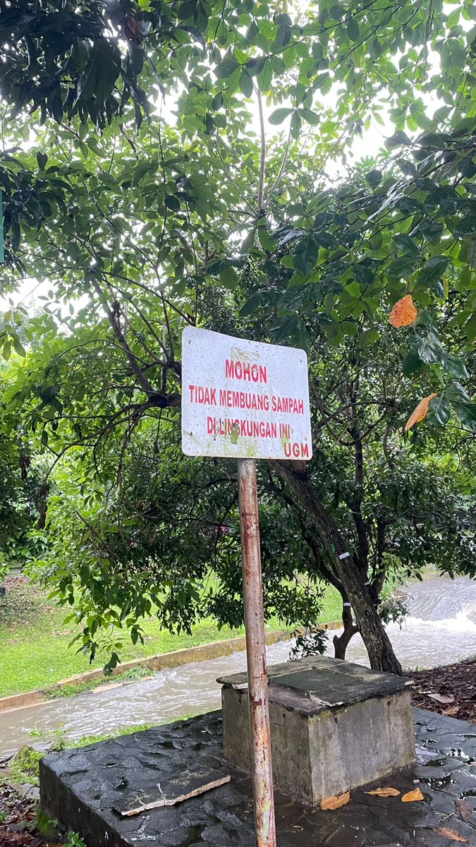 dino 🦖 tweet media