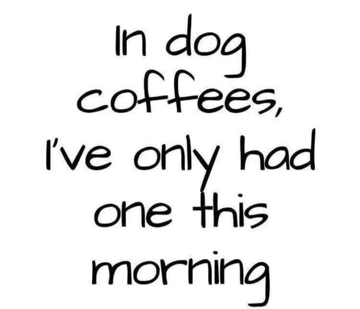 IsabelOn906fm's tweet image. Happy Autumn! #BringBackThatTrack #AnotherCuppaCoffee

1 - Fats Domino - Blueberry Hill (Ria)
2 - Ike &amp;amp; Tina Turner - River Deep, Mountain High
3 - Tal Bachman - She's So High

The winning track plays just before 10am
@906fmstereo
