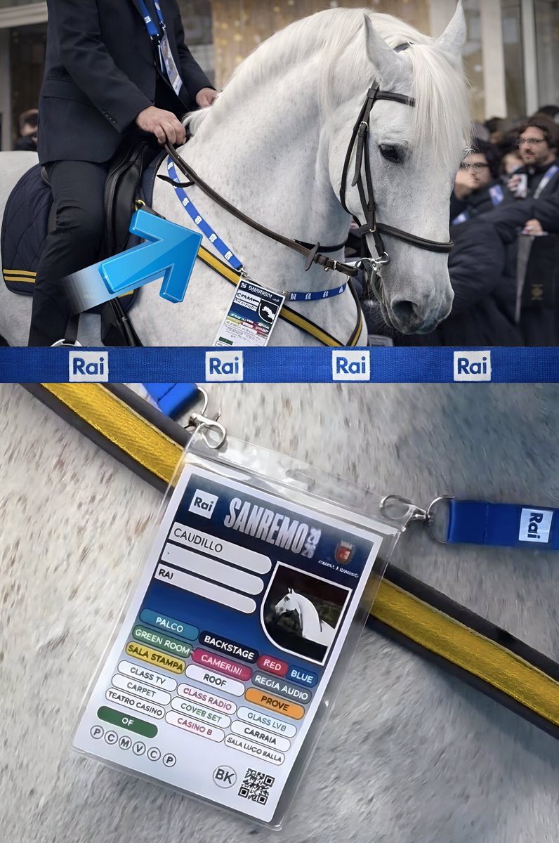 nonleggerlo tweet media