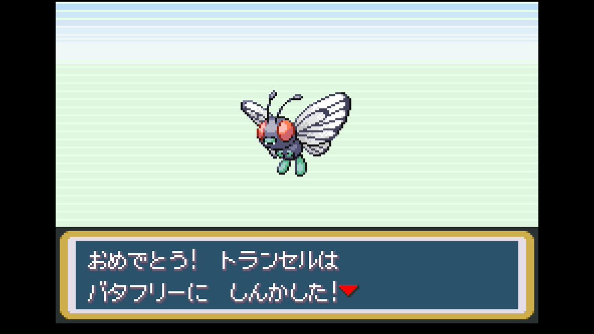 キャタピー→トランセルに進化！ ・トランセル→バタフリー進化！ 最終